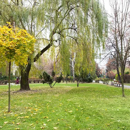 Room, Inflancka 19 Apartment *